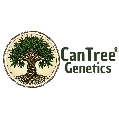 Cantree Genetics Logo. Genetischer Baumstamm mit grünen Hanfblättern und der Cantree Genetics Schriftzug.