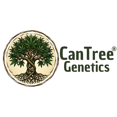 Cantree Genetics Logo. Genetischer Baumstamm mit grünen Hanfblättern und der Cantree Genetics Schriftzug.