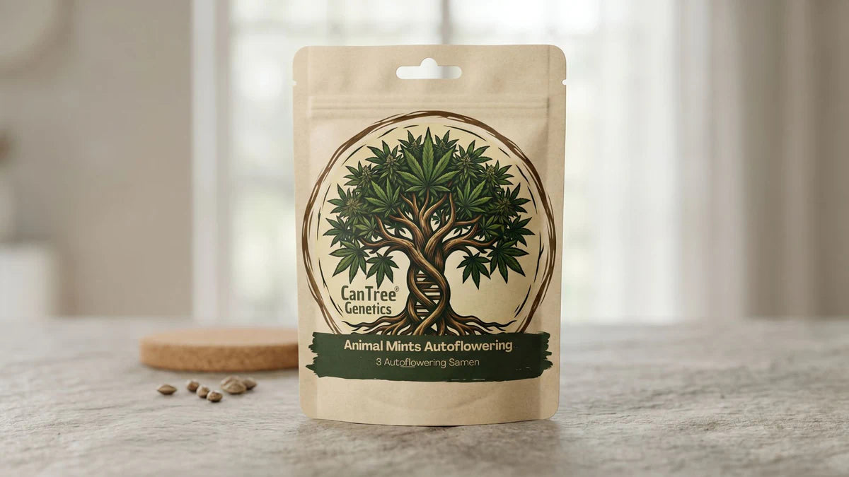 Modernes Webdesign und Corporate Design auf Produktverpackung für den Seedbank Anbieter CanTree Genetics von LENAMO.