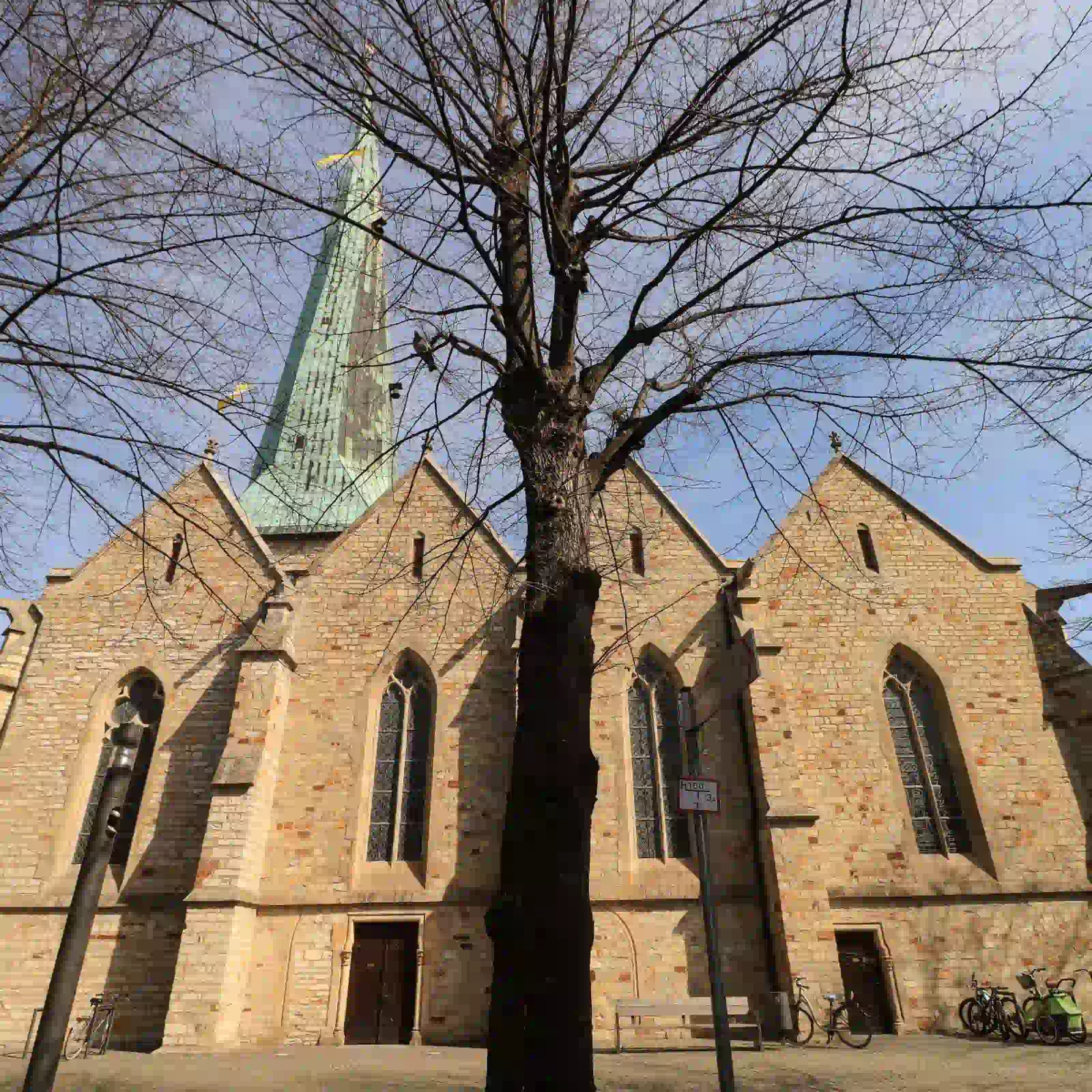 Die St. Johannes Baptist Kirche in Delbrück bei sonnigem Tag im frühen Winter. 